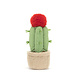Jellycat Knuffel Amuseable Moon Cactus