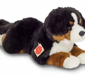 Hermann teddy Knuffel Berner Sennenhond Hermann teddy Knuffel Berner Sennenhond