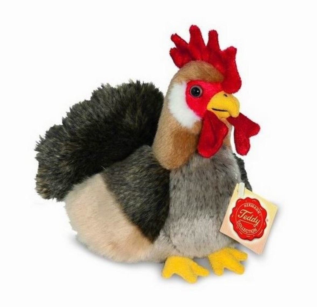 Hermann teddy Knuffel Haan