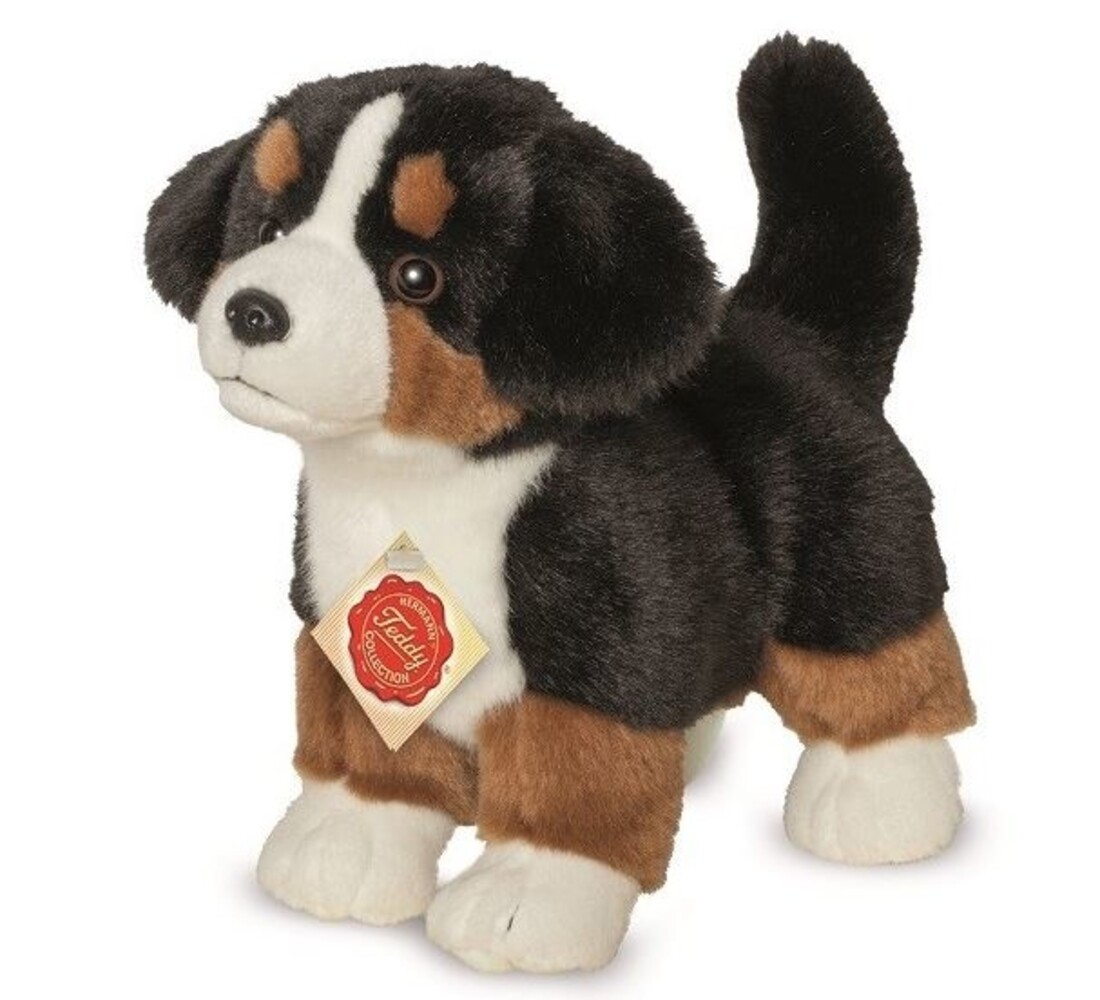 Hermann teddy Knuffel Berner Sennenhond Puppy Hermann teddy Knuffel Berner Sennenhond Puppy