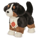 Hermann teddy Knuffel Berner Sennenhond Puppy Hermann teddy Knuffel Berner Sennenhond Puppy
