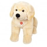Hermann teddy Knuffel Hond Golden Retriever Zittend 50cm