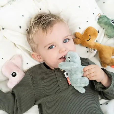 Done by Deer Knuffelrammelaar Nozo Powder