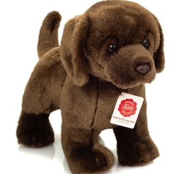 Hermann teddy Knuffel Labrador Bruin Staand 30 cm Hermann teddy Knuffel Labrador Bruin Staand 30 cm