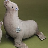 Förster Knuffel Zeehond groot 40cm