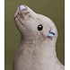 Förster Knuffel Zeehond groot 40cm