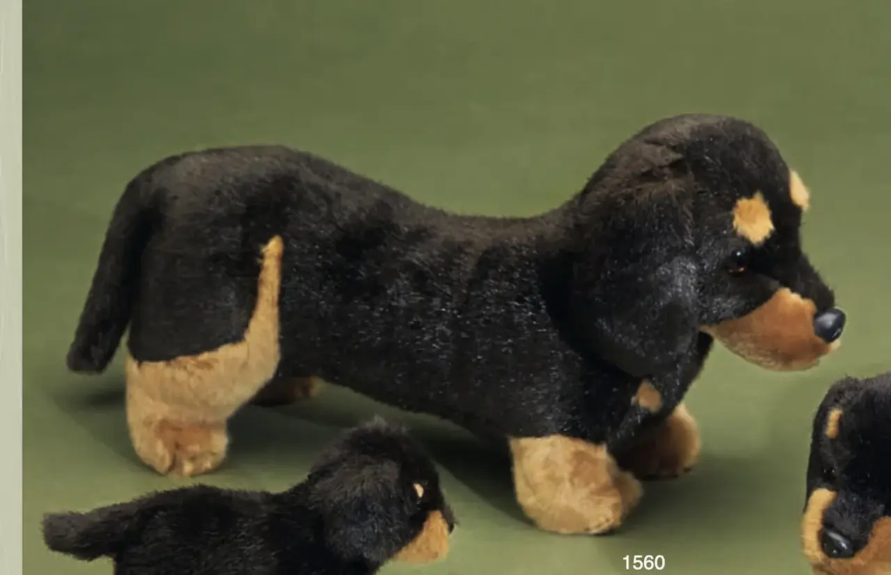 Förster Knuffel Kortharige Teckel groot 42cm