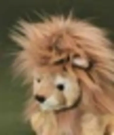 Förster Knuffel Leeuw Zittend 22cm