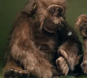 Förster Knuffel Gorilla extra groot 80cm