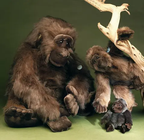 Förster Knuffel Gorilla extra groot 80cm