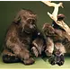 Förster Knuffel Gorilla extra groot 80cm