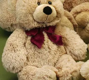 Förster Knuffel Beer klein 39cm