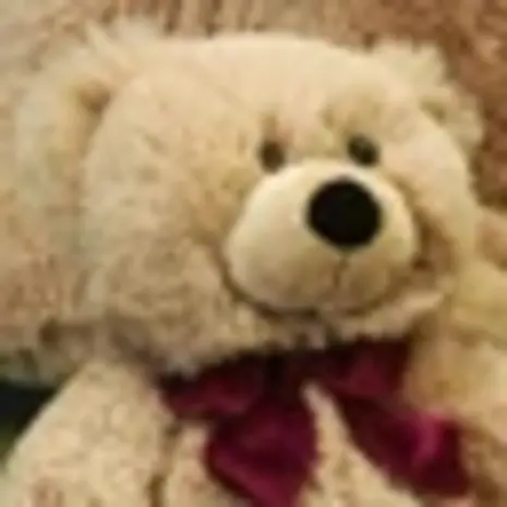 Förster Knuffel Beer klein 39cm