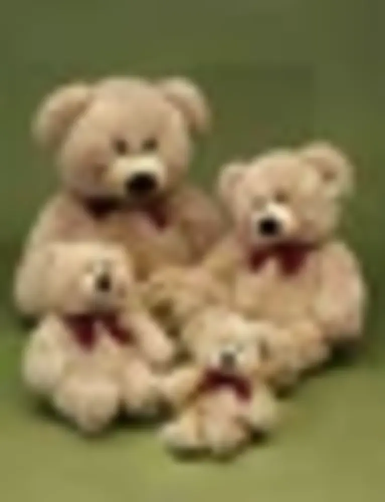 Förster Knuffel Beer klein 39cm