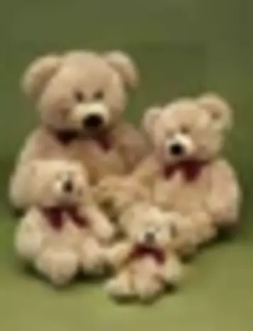 Förster Knuffel Beer klein 39cm