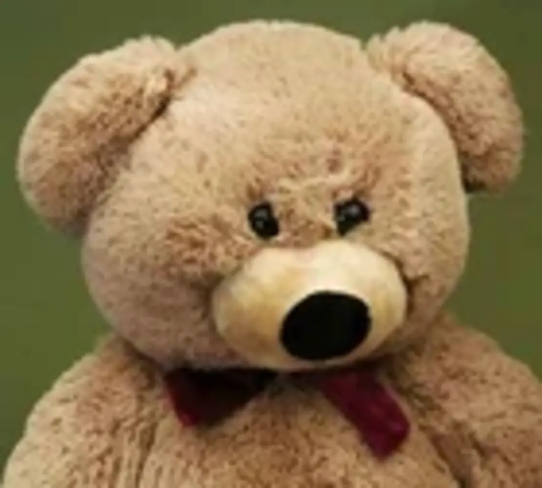 Förster Knuffel Beer medium 55cm