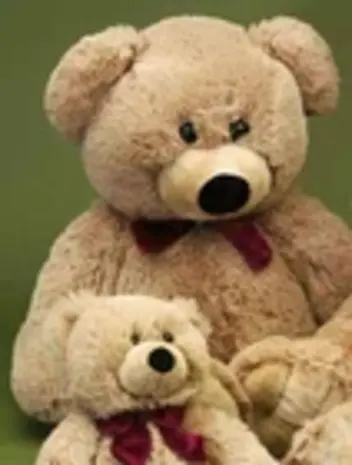 Förster Knuffel Beer medium 55cm