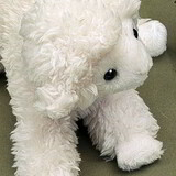 Förster Knuffel Lam Liggend mini 18cm