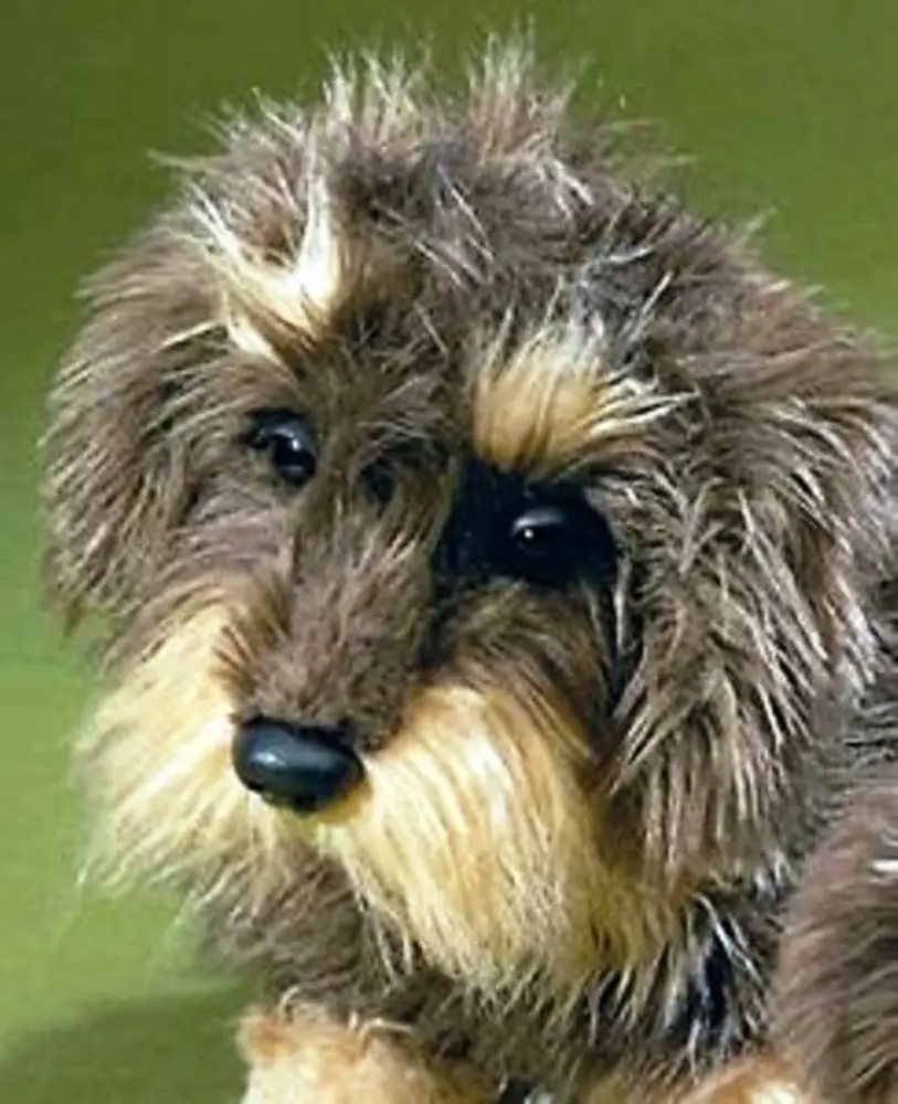 Förster Knuffel Ruwharige Teckel Zottel klein 19cm