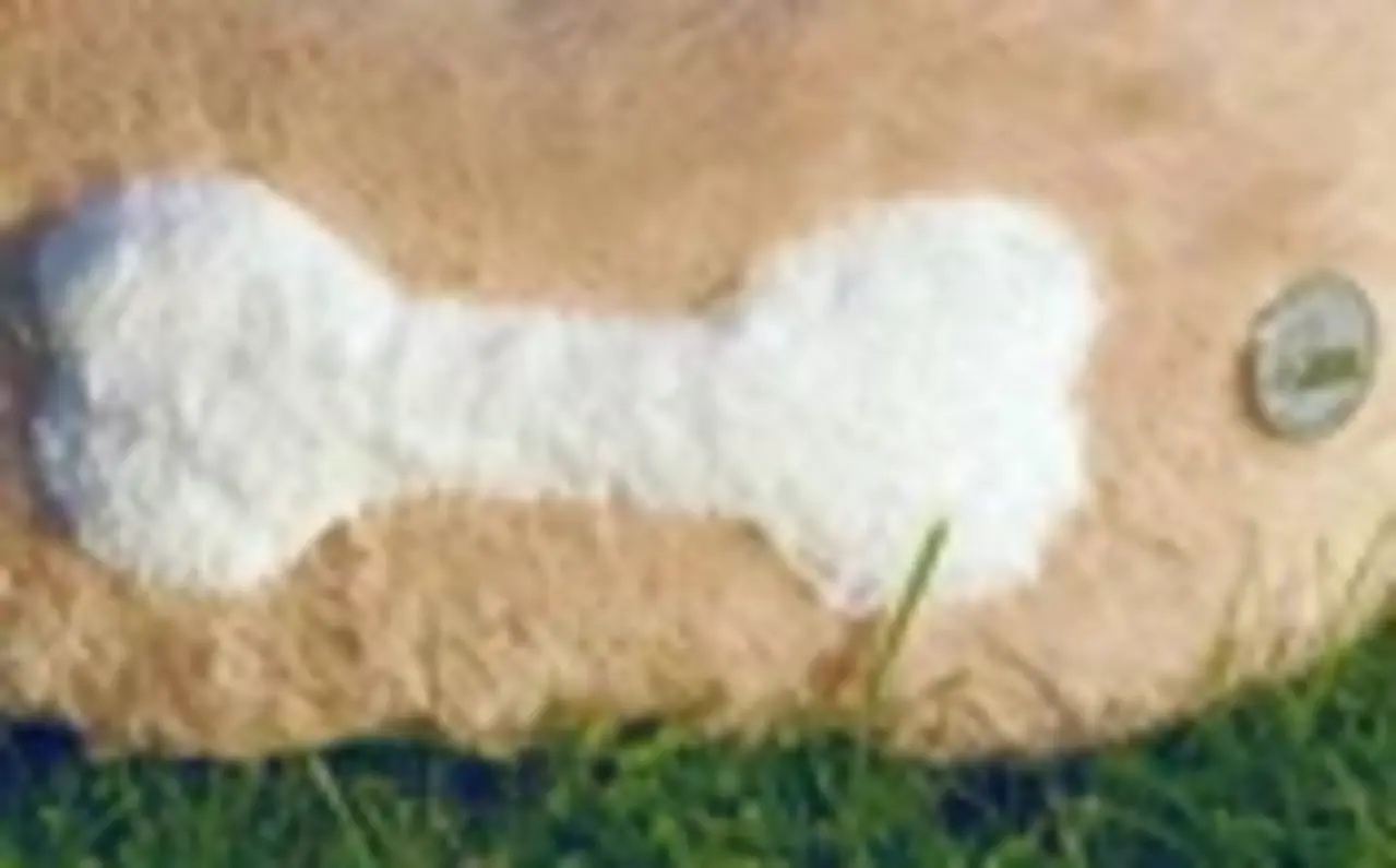 Förster Honden- Kattenbed 59cm