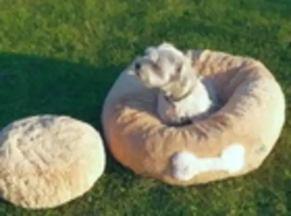 Förster Honden- Kattenbed 59cm