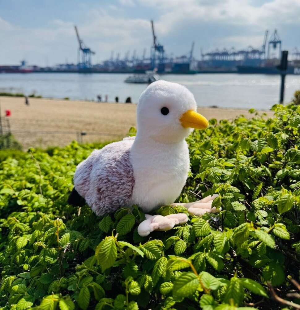 Hermann Teddy Knuffel Meeuw 20cm Hermann Teddy Knuffel Meeuw 20cm