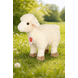 Hermann Teddy Knuffel Lam Staand 25 cm