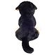 Hermann Teddy Knuffel Berner Sennenhond Zittend 26cm