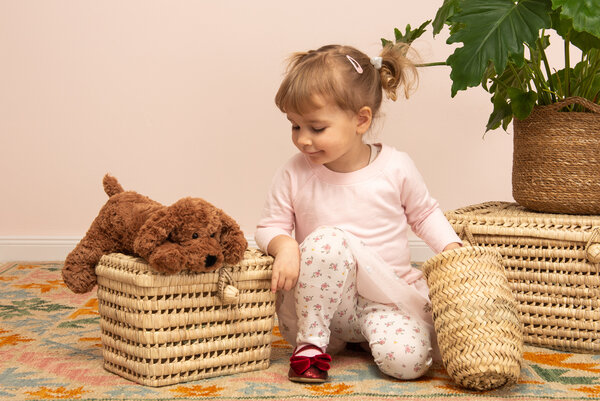 Hermann Teddy Knuffel Hond Bruin 28cm