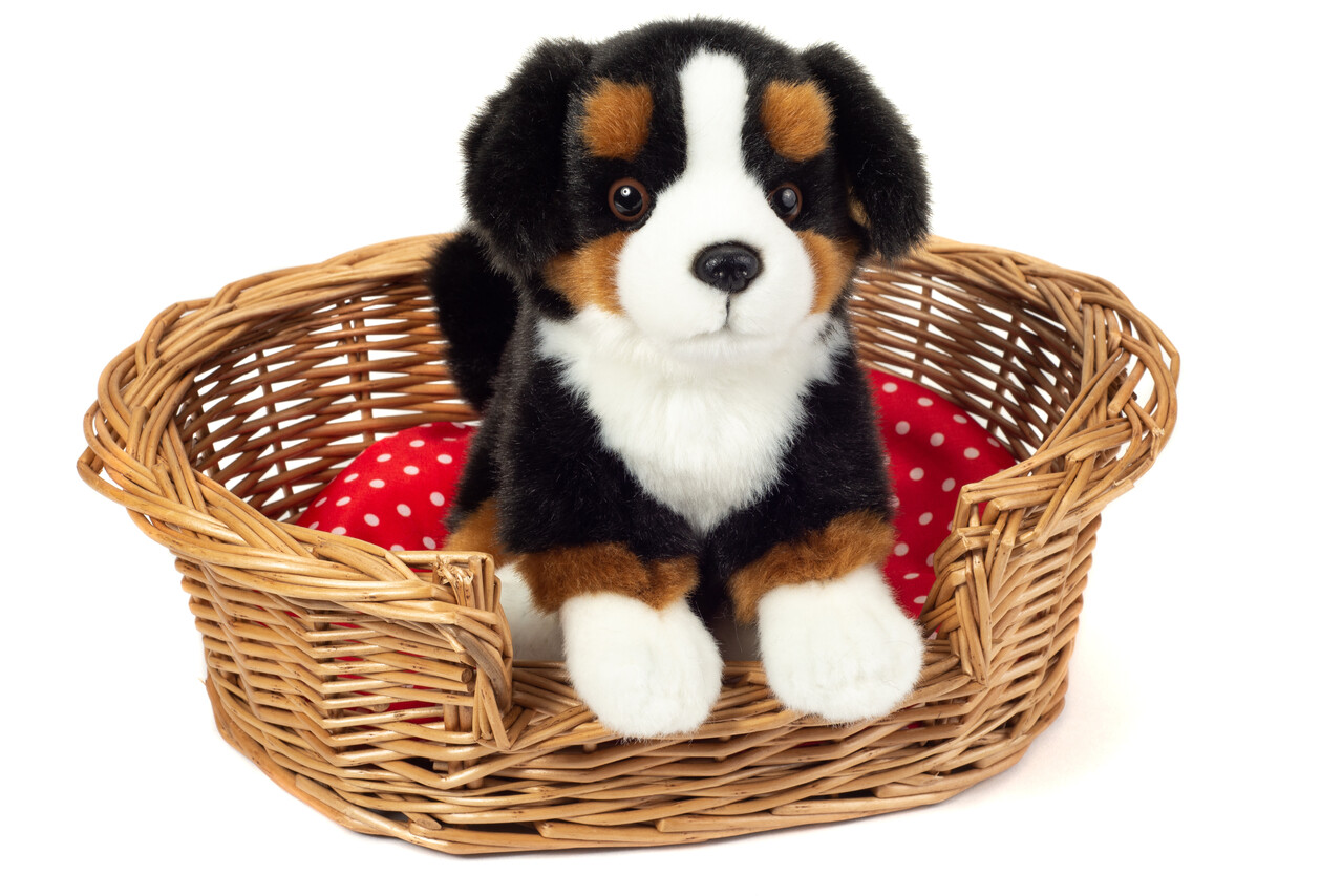Hermann Teddy Knuffel Berner Sennenhond Zittend 21cm