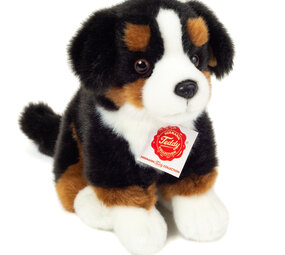Hermann Teddy Knuffel Berner Sennenhond Zittend 21cm