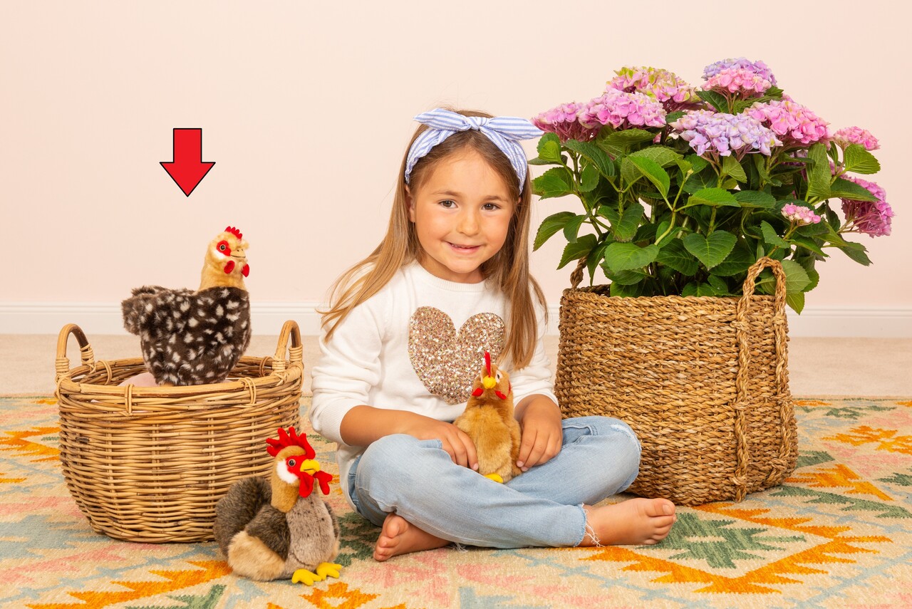 Hermann Teddy Knuffel Kip Staand 24cm