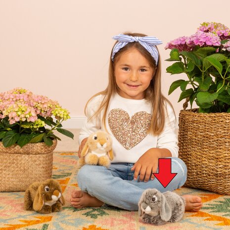 Hermann Teddy Knuffel Konijn Ram Grijs 18cm