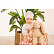 Hermann Teddy Knuffel Haas Franny 31 cm Hermann Teddy Knuffel Haas Franny 31 cm