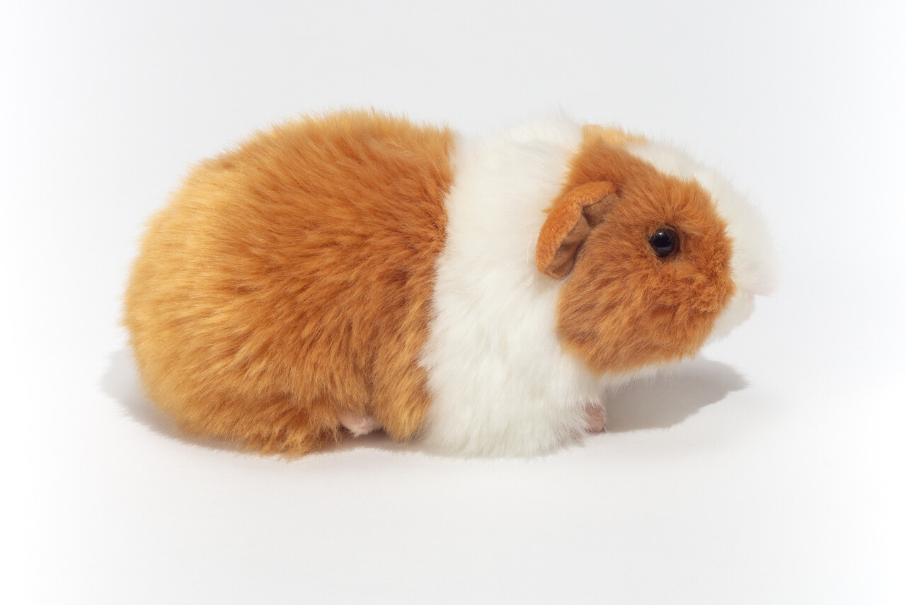 Hermann Teddy Knuffel Cavia Goud Wit Hermann Teddy Knuffel Cavia Goud Wit