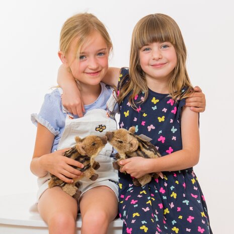 Hermann Teddy Knuffel Wild Zwijn Jong 22cm