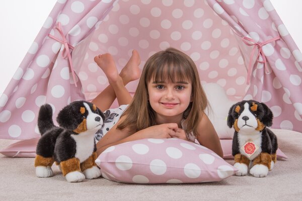 Hermann Teddy Knuffel Berner Sennenhond Puppy 23cm