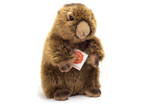Hermann Teddy Knuffel Marmot 20cm