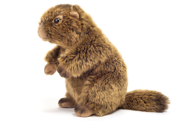 Hermann Teddy Knuffel Marmot 20cm