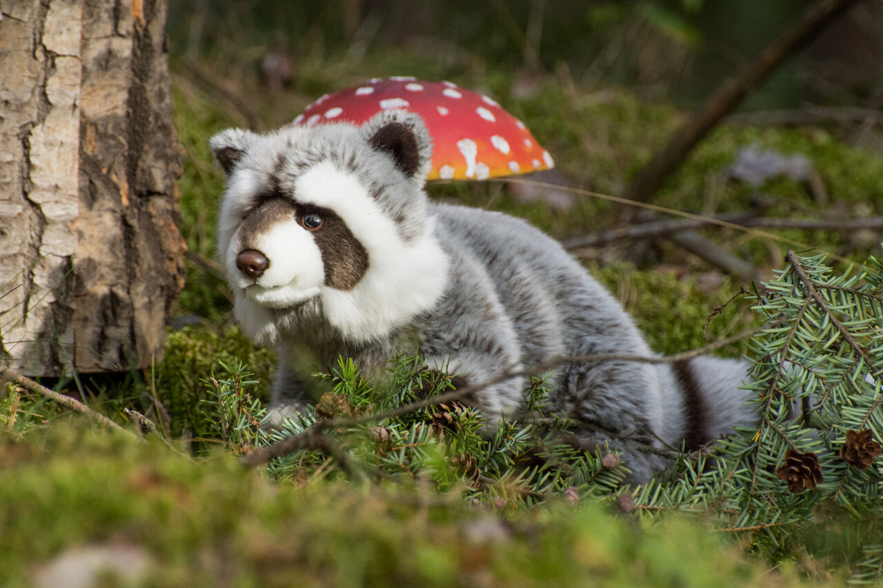 Hermann Teddy Knuffel Wasbeer 29cm Hermann Teddy Knuffel Wasbeer 29cm