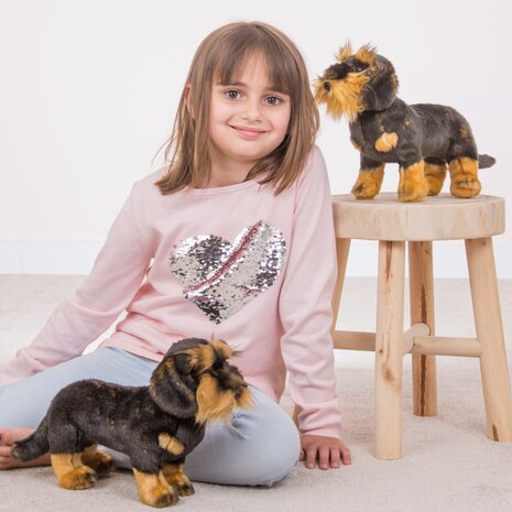 Hermann Teddy Knuffel Hond Ruwharige Teckel 28cm