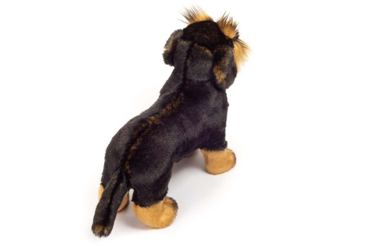 Hermann Teddy Knuffel Hond Ruwharige Teckel 28cm