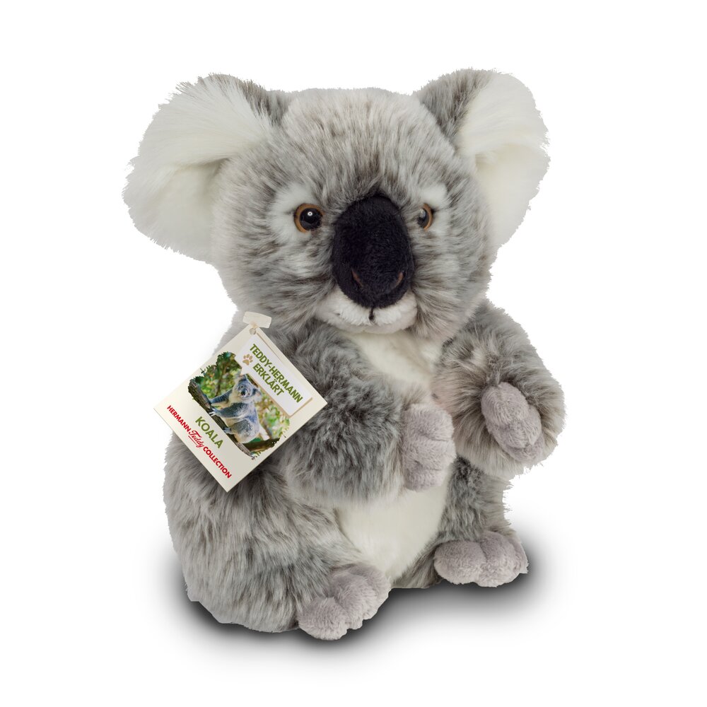Hermann Teddy Knuffel Koala Buidelbeer 21cm