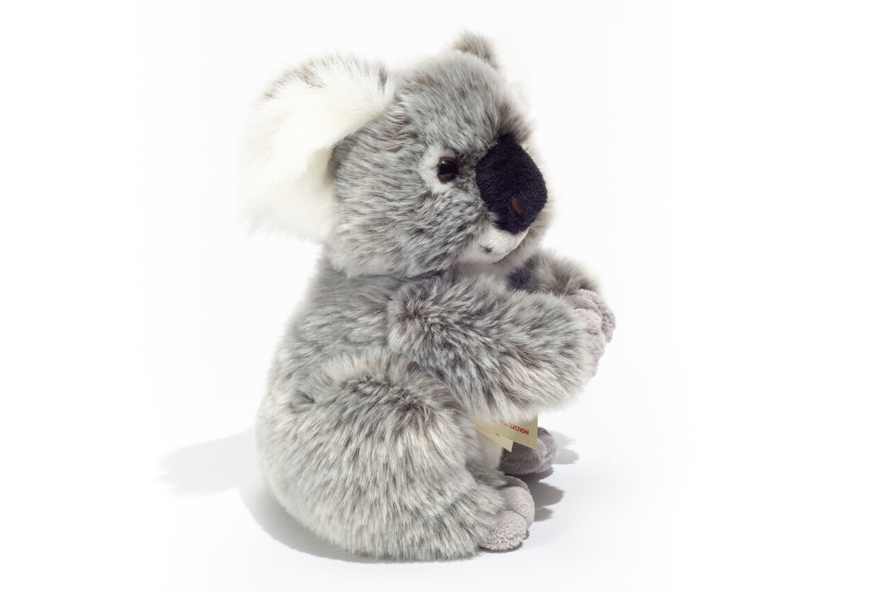 Hermann Teddy Knuffel Koala Buidelbeer 21cm