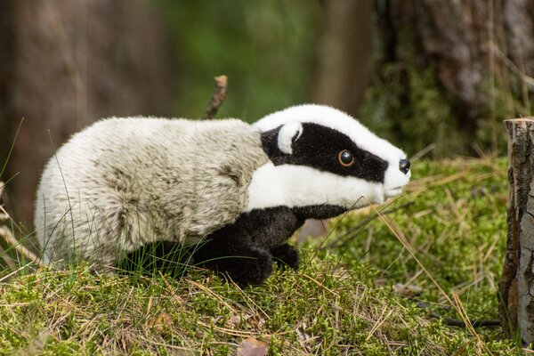 Hermann Teddy Knuffel Das 30cm
