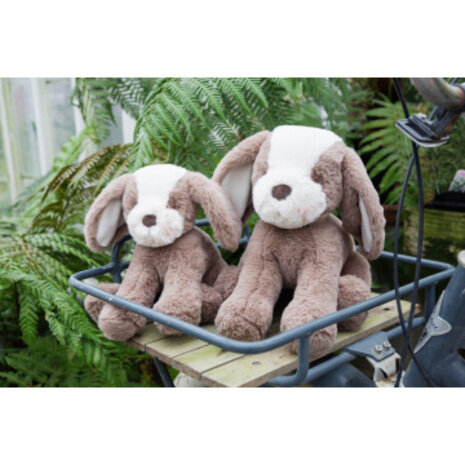 Bunnies by the bay Knuffel Hond Toffee 31cm Bunnies by the bay Knuffel Hond Toffee 31cm