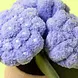 Jellycat Knuffel Amuseables Hydrangea Jellycat Knuffel Amuseables Hydrangea