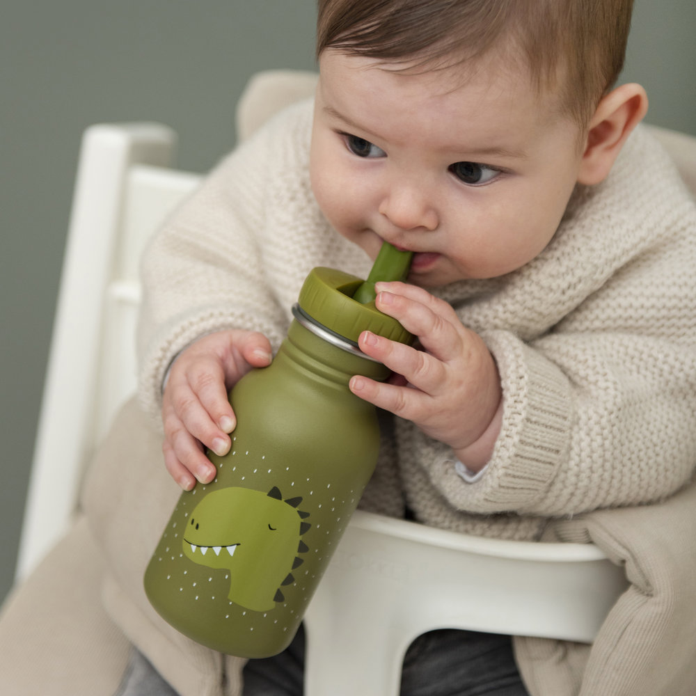 Trixie Drinkfles 350ml - Mr. Dino