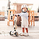 Scoot and Ride Highwaykick 1 step - Ash Scoot and Ride Highwaykick 1 step - Ash