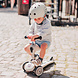 Scoot and Ride Highwaykick 1 step - Ash Scoot and Ride Highwaykick 1 step - Ash